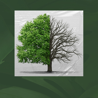 The Power of the Tongue