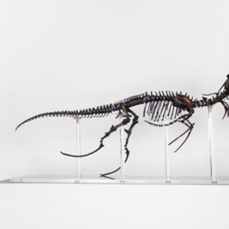 answers to life questions church in Bangalore